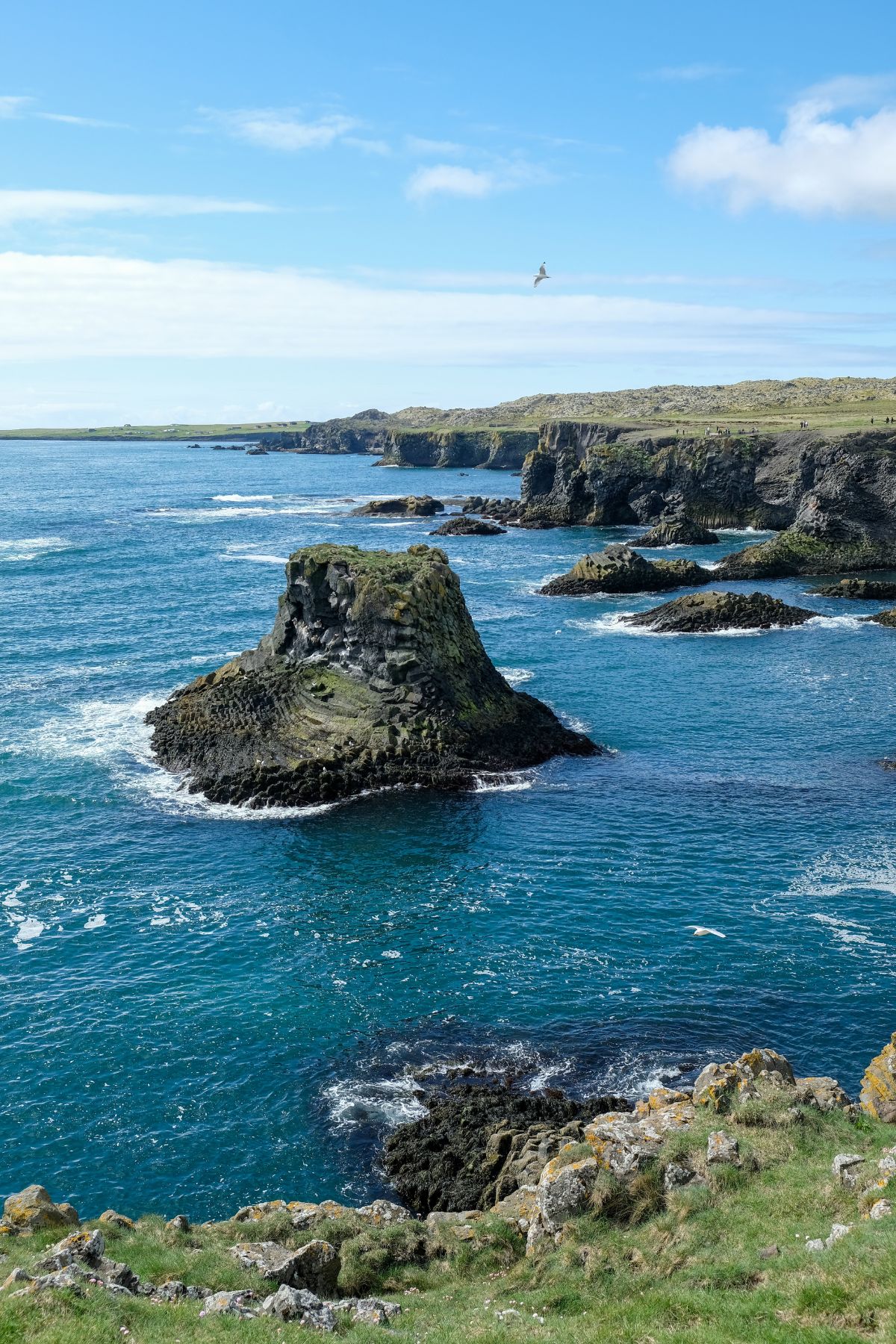 Arnarstapi Cliff Viewpoint op het schiereiland Snæfellsnes in IJsland