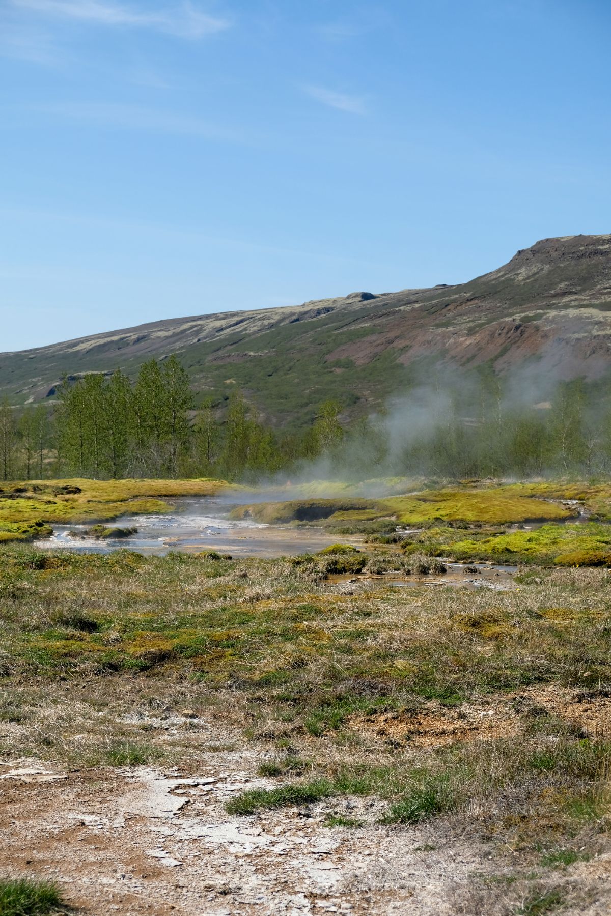 Geothermisch gebied Geysir langs de Golden Circle