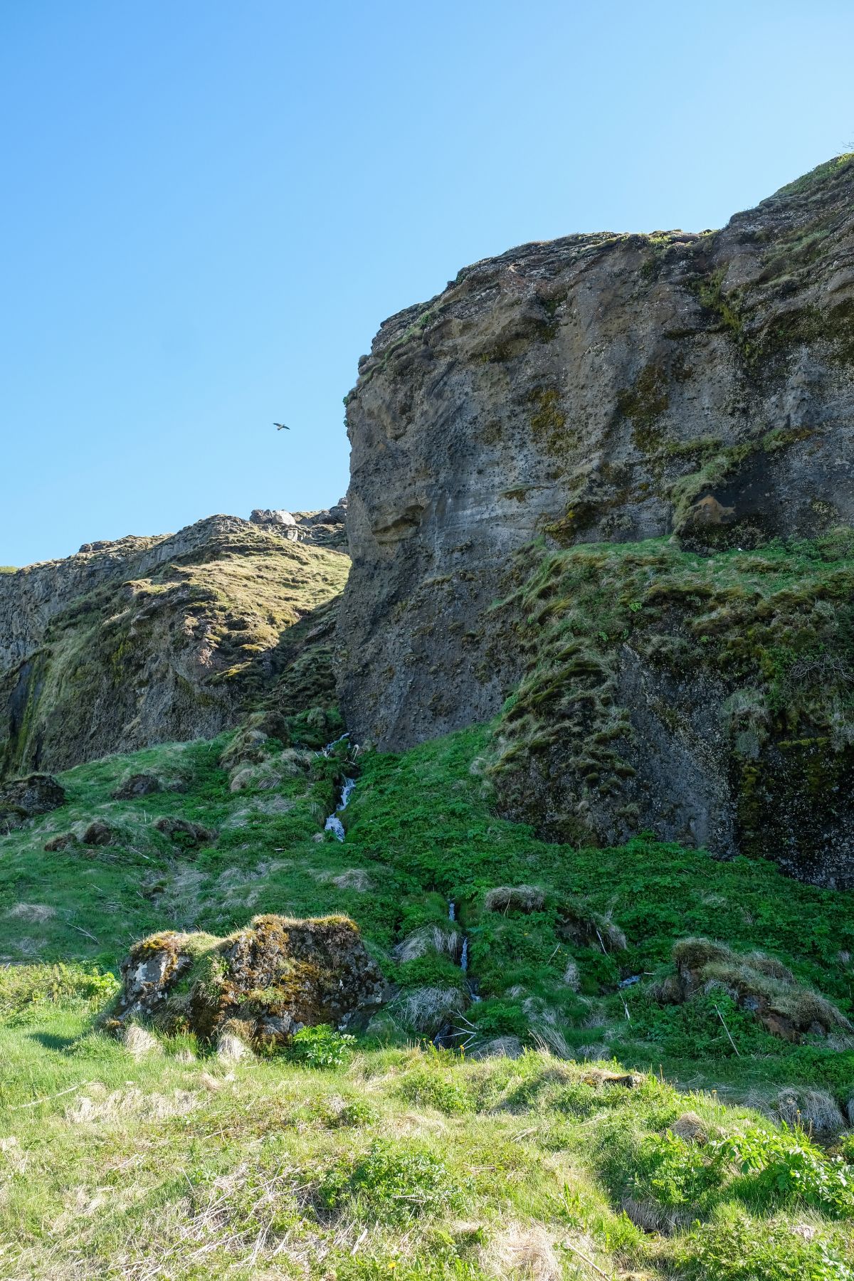 Gljúfrabúi waterval omgeving vlakbij Seljalandsfoss waterval
