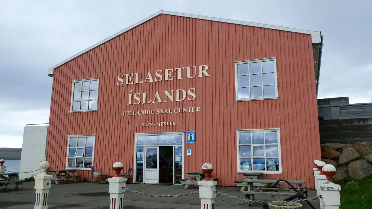 Icelandic Seal Center in Hvammstangi