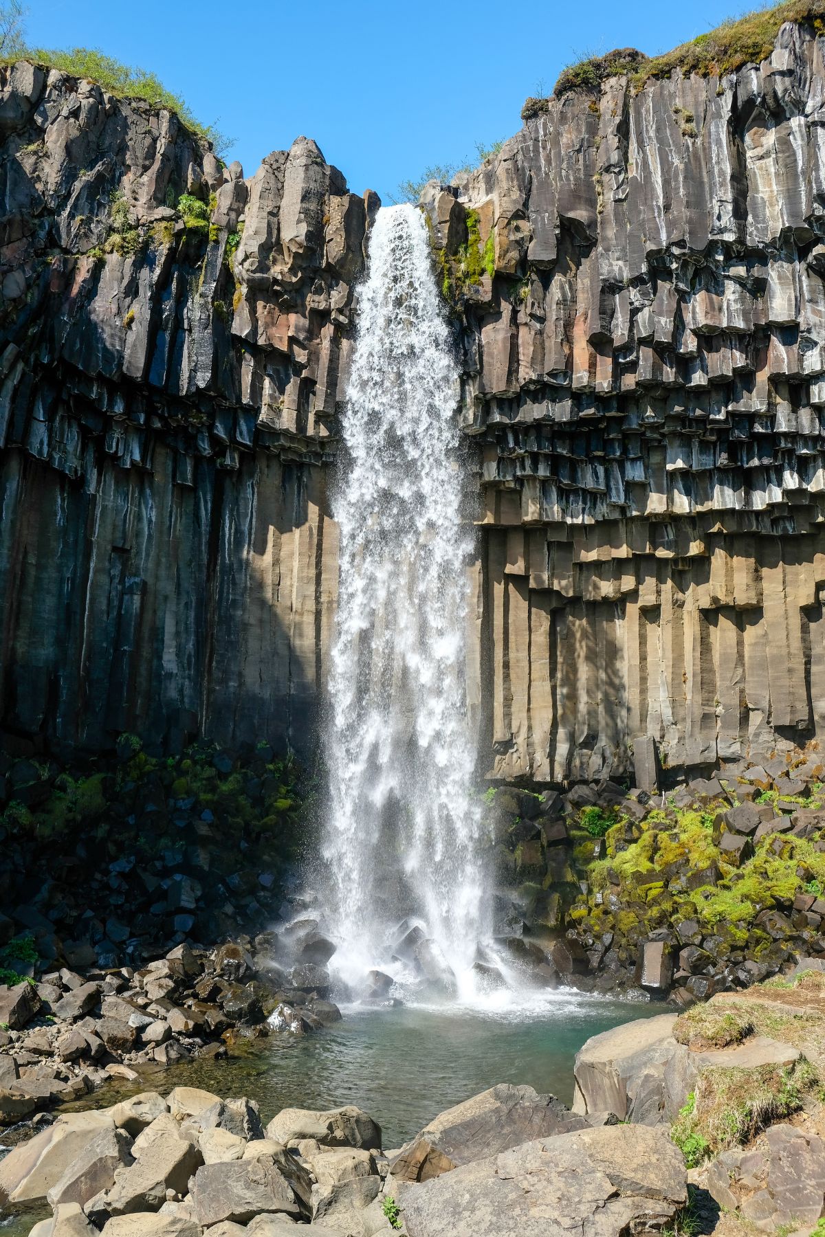 Svartifoss watervall in Skaftafell Nationaal Park