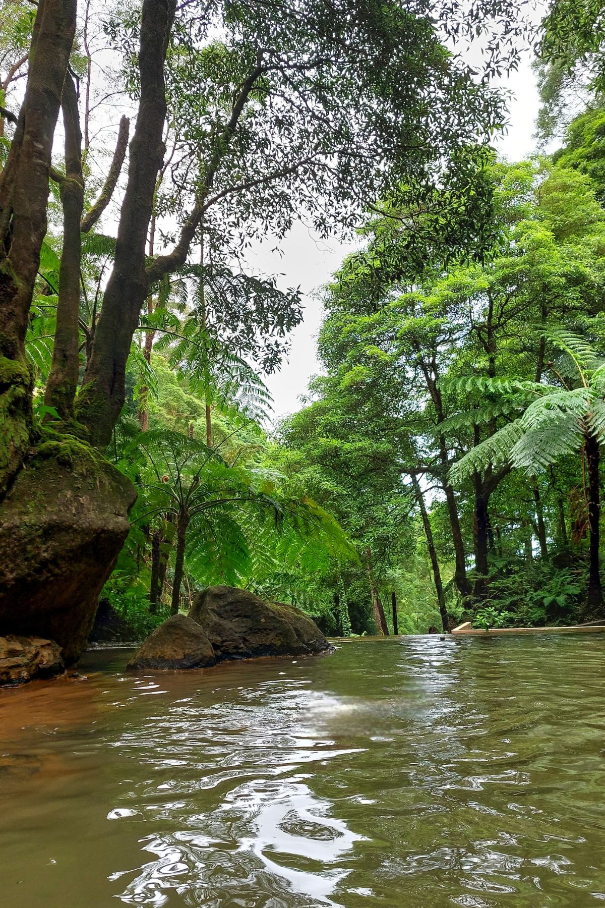 Caldeira Velha São Miguel Azoren