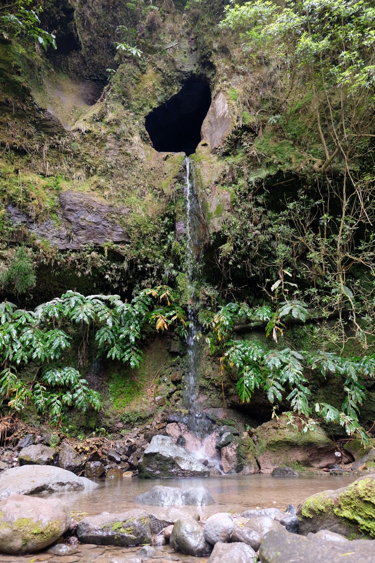 Janelo do Inferno wandeling São Miguel Azoren