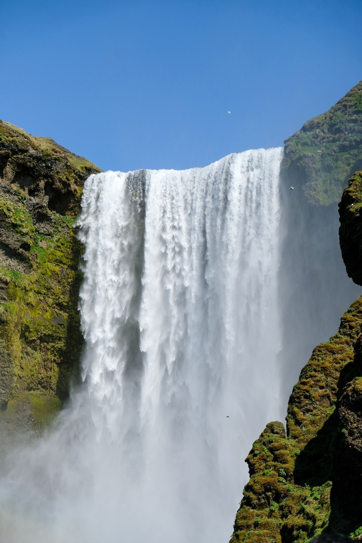 Skógafoss waterval in IJsland