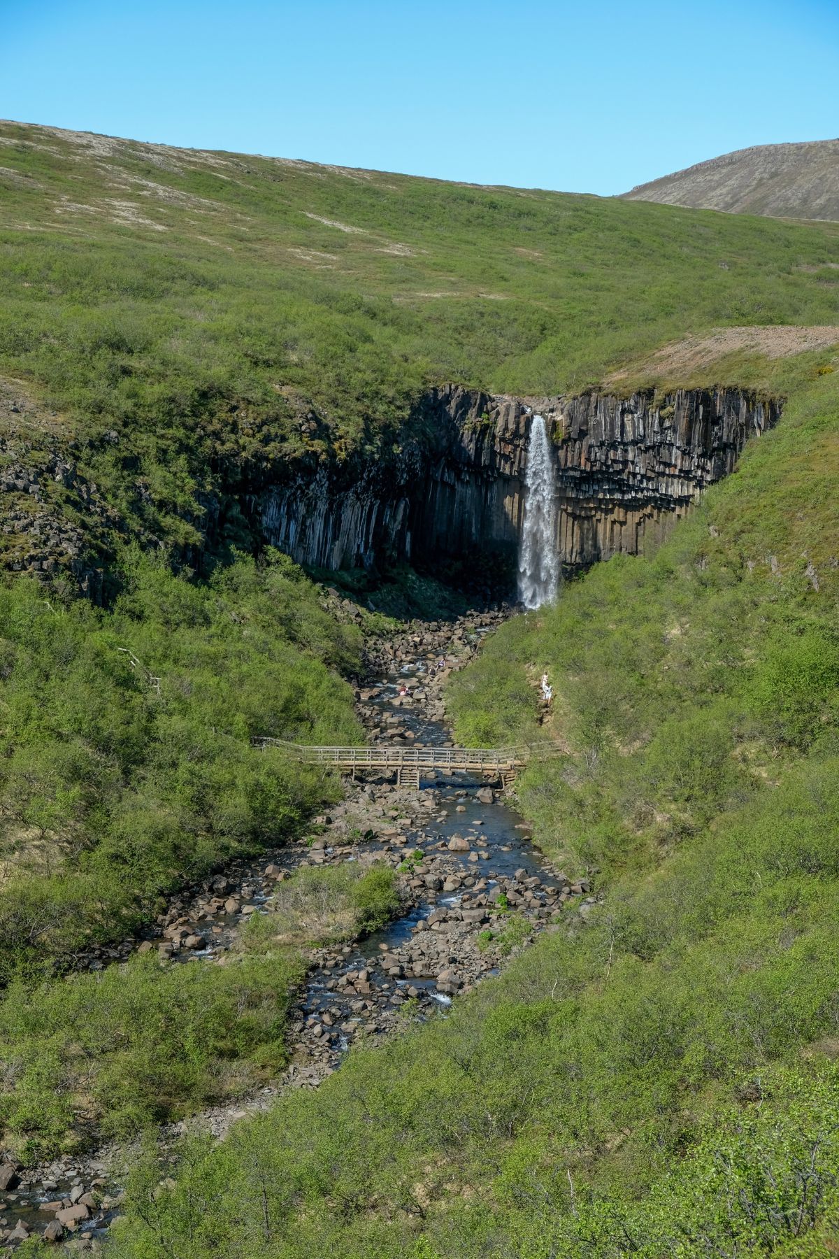 Svartifoss waterval in Vatnajökull Nationaal Park