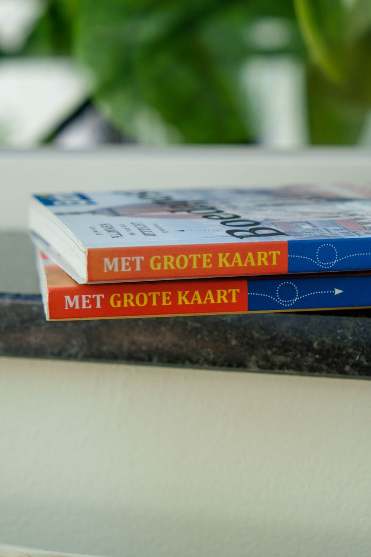 ANWB Extra Reisgidsen met uitneembare kaart