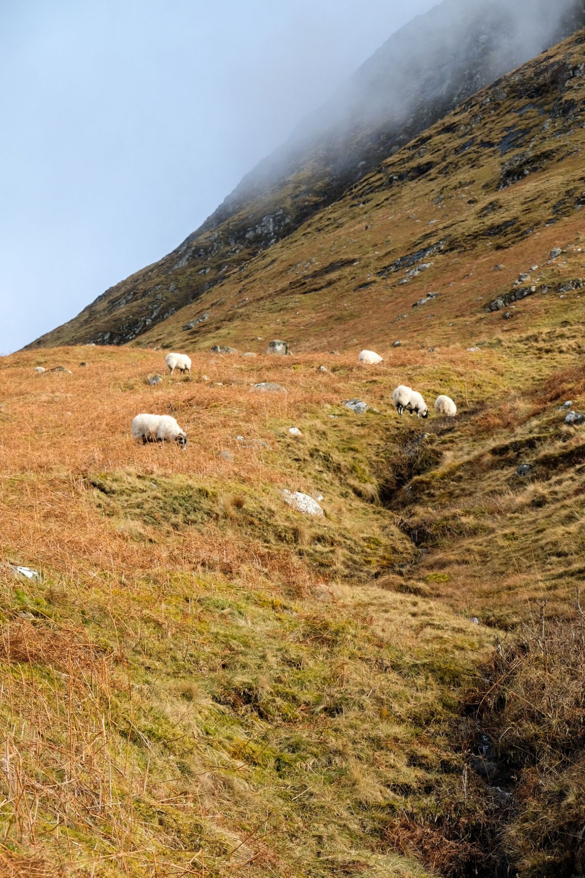 Landschap tijdens wandeling naar Ben Nevis top in Schotland