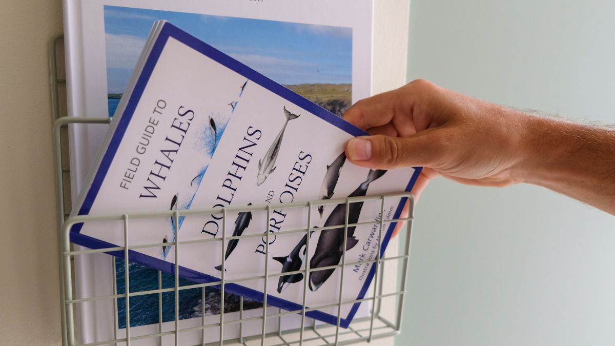 Field guide to Whales, Dolphins and Porpoises boek
