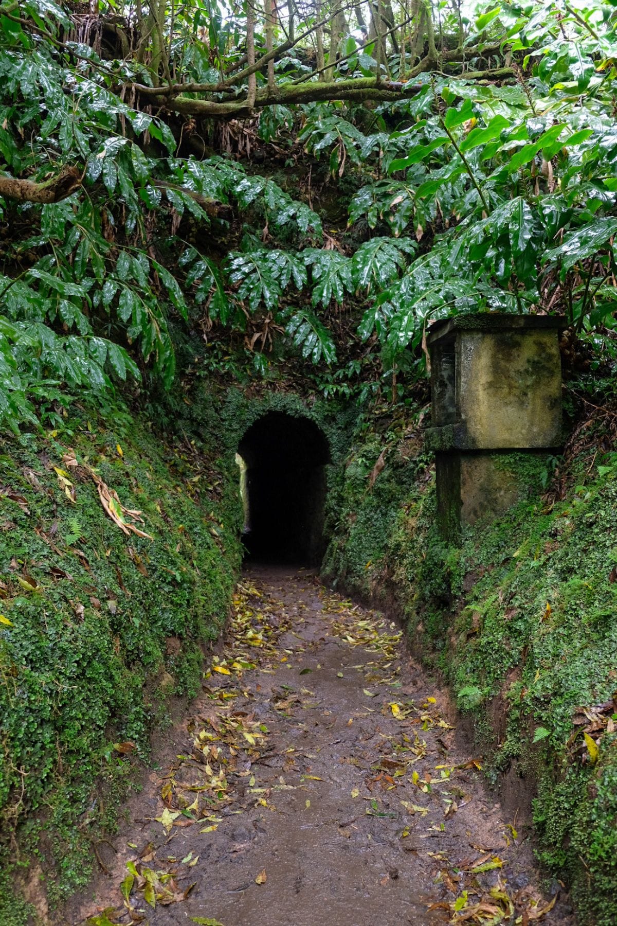 Janelo do Inferno wandeling met tunnels op São Miguel